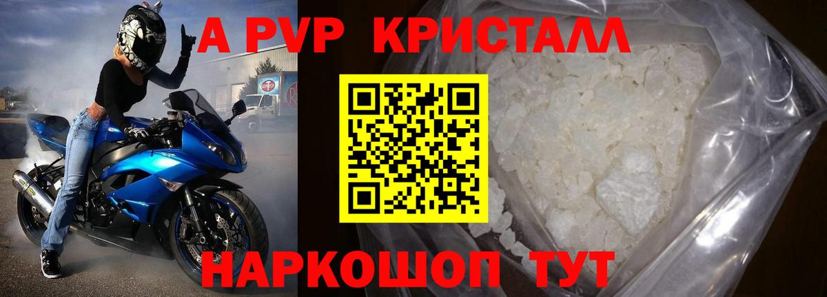 A-PVP СК Вологда