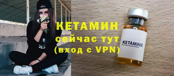 гашик Алексин
