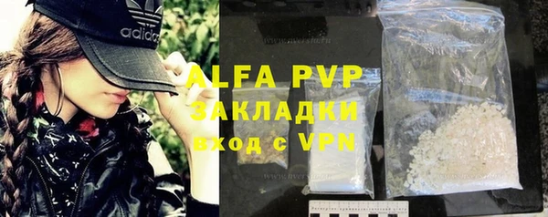 гашик Алексин