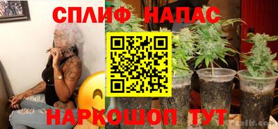 ПСИЛОЦИБИНОВЫЕ ГРИБЫ Донской