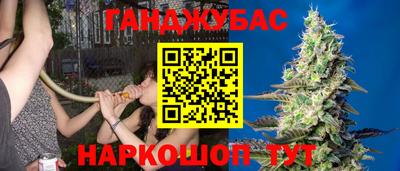 гидра Азнакаево