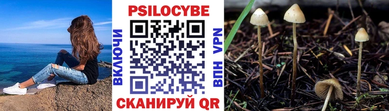 Галлюциногенные грибы Magic Shrooms  Вологда 
