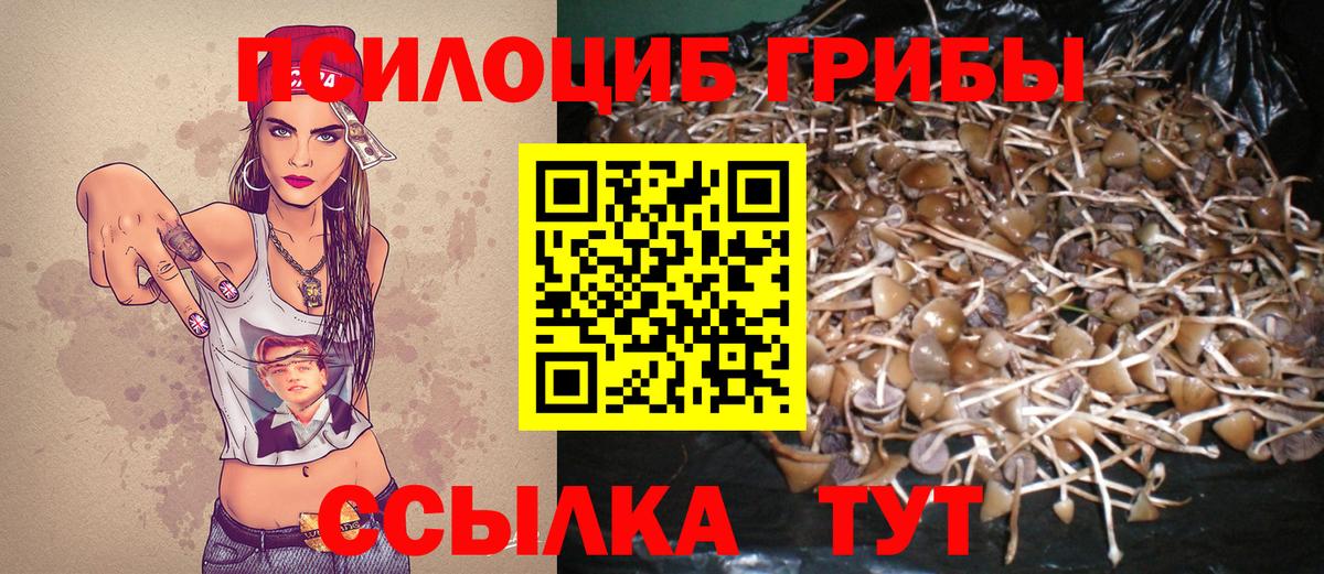 Галлюциногенные грибы мухоморы Вологда