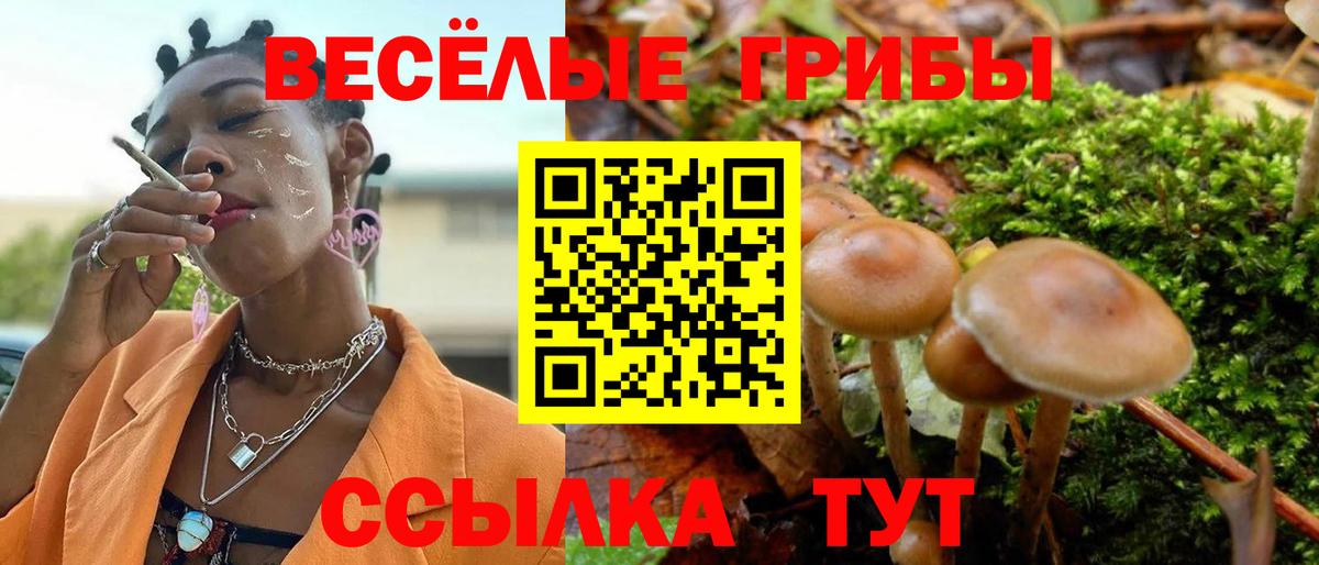 Галлюциногенные грибы прущие грибы Вологда