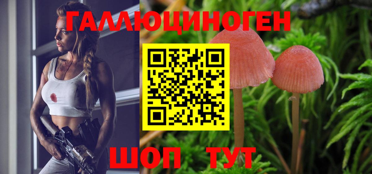 Псилоцибиновые грибы Magic Shrooms  Вход с VPN  Вологда 
