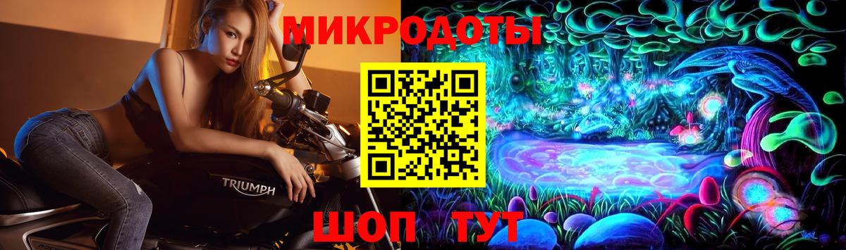 Галлюциногенные грибы GOLDEN TEACHER  Вход с VPN  Вологда 